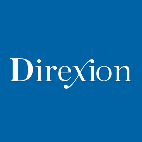 DIREXION SEMICONDUCTOR DAILY 3X