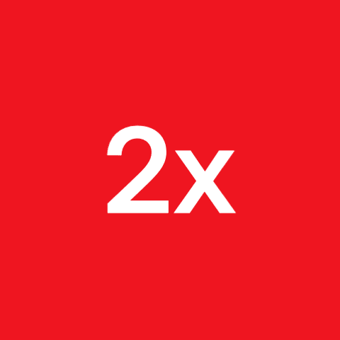 디렉시온 테슬라(TSLA) 2X